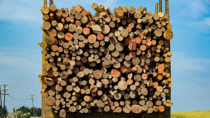 A truck loaded with cut logs for firewood, transporting a bulk load by weight