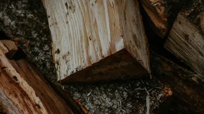 Close-up of stacked firewood logs showing the grain and texture that varies by species